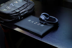 Razer Protective Sleeve V2